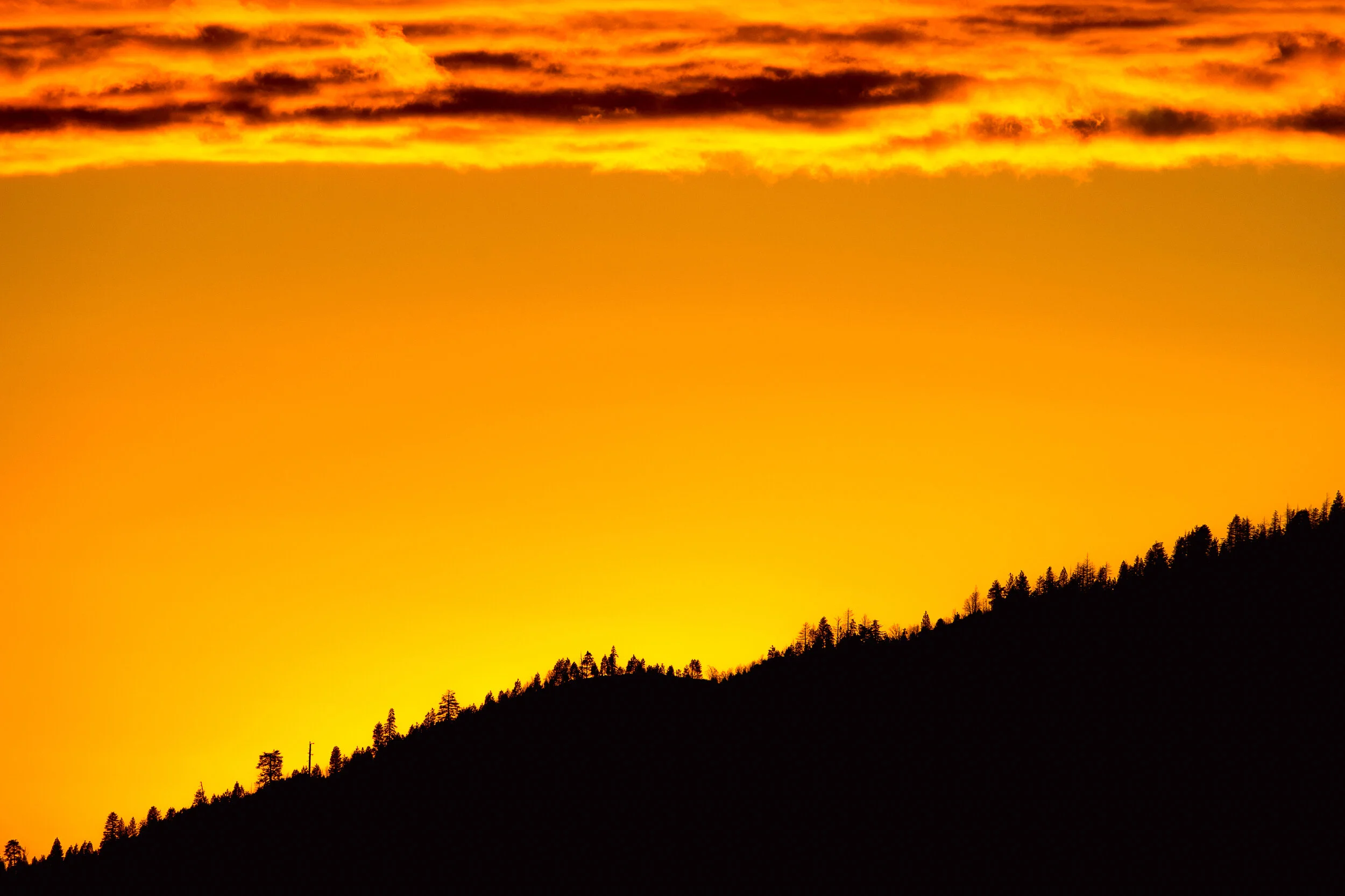 Yosemite photograph 11