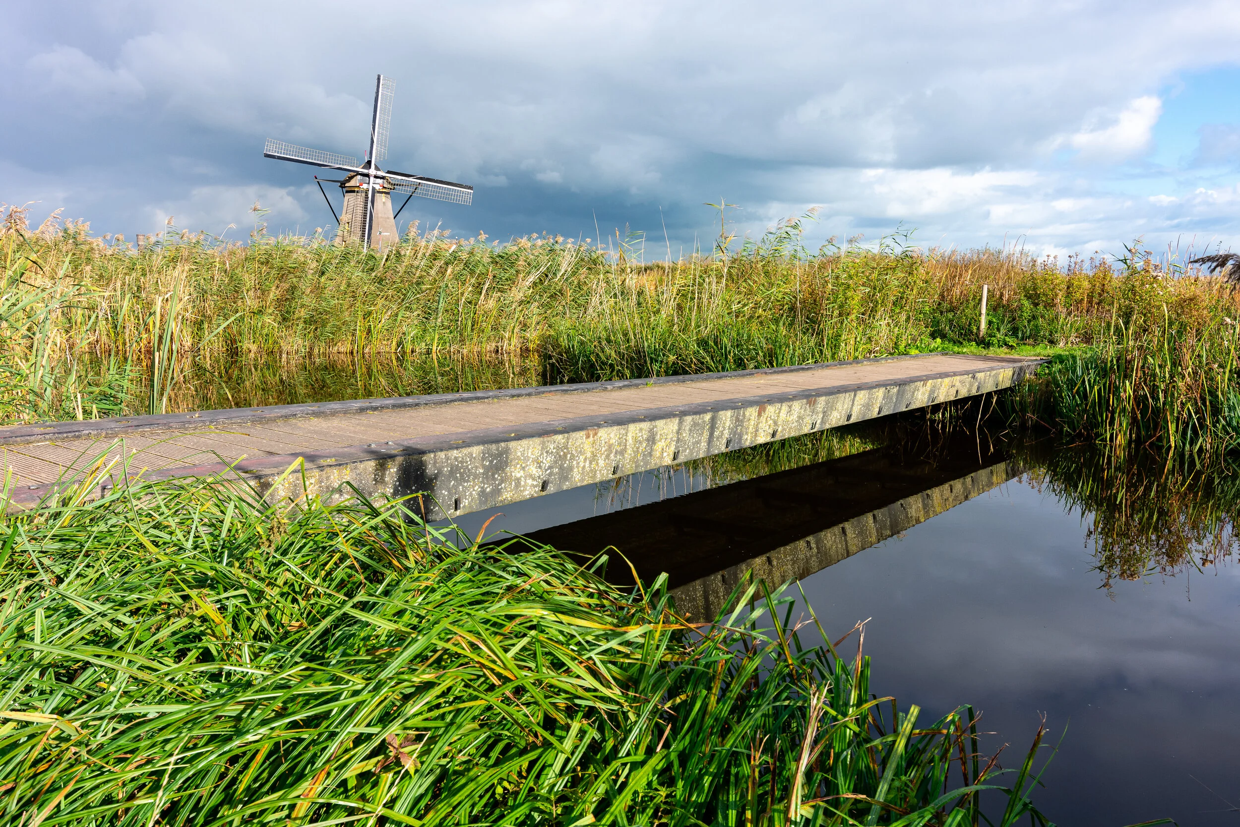 Amsterdam photograph 11