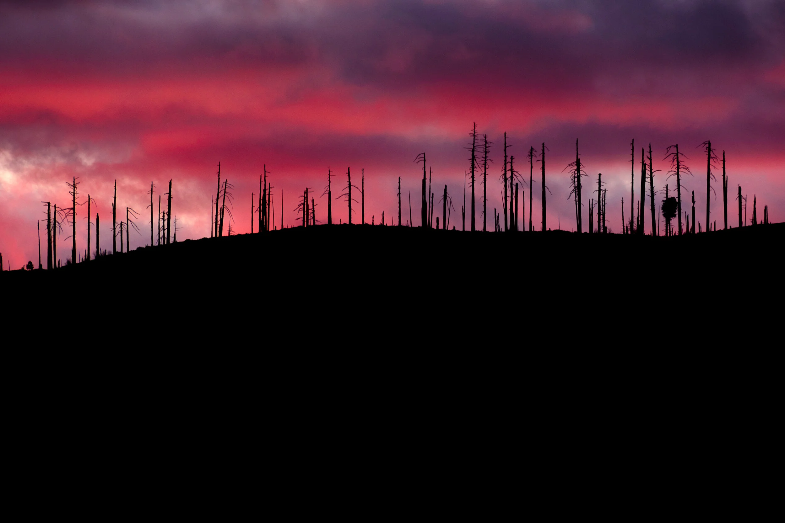 Yosemite photograph 12