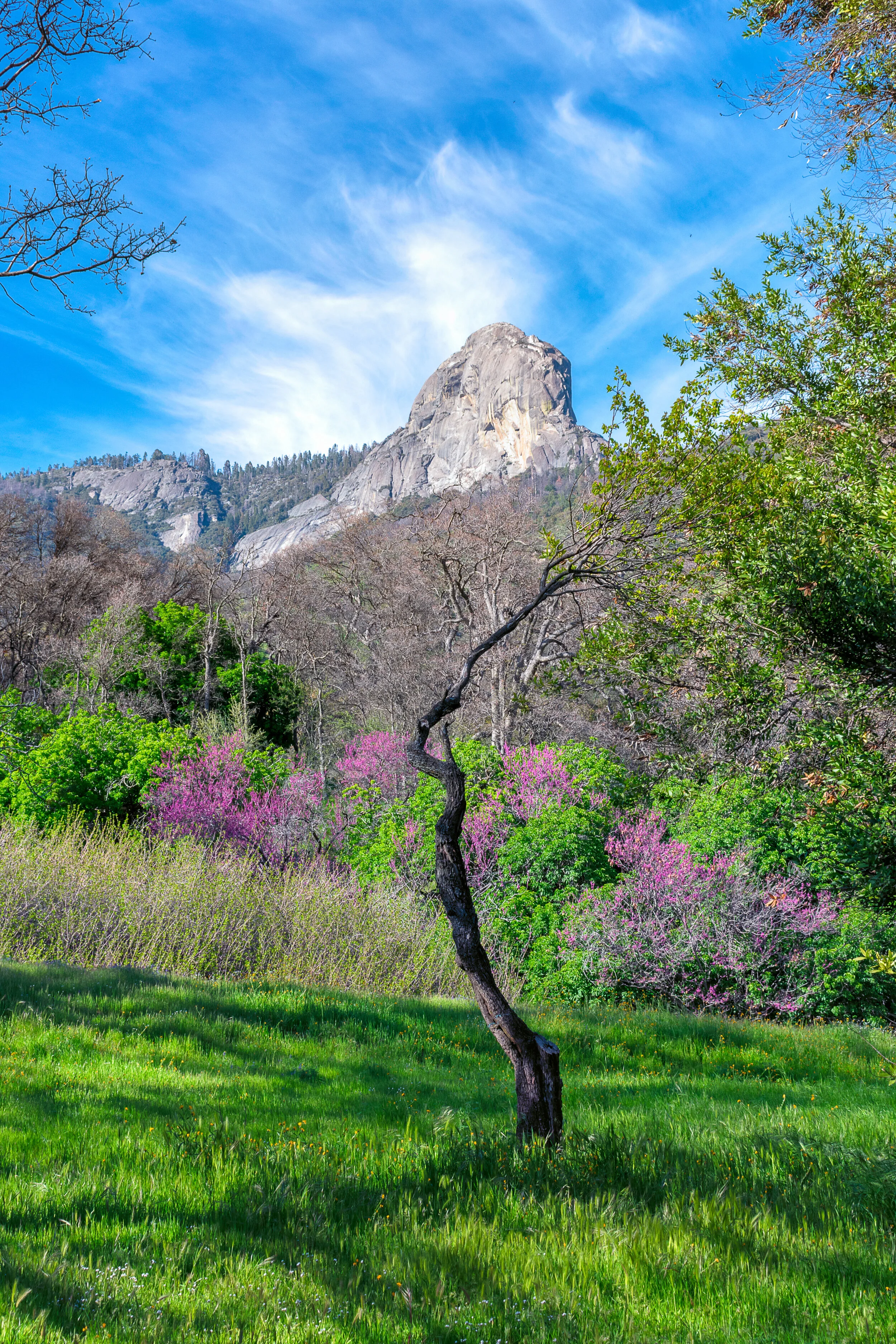 Yosemite photograph 13