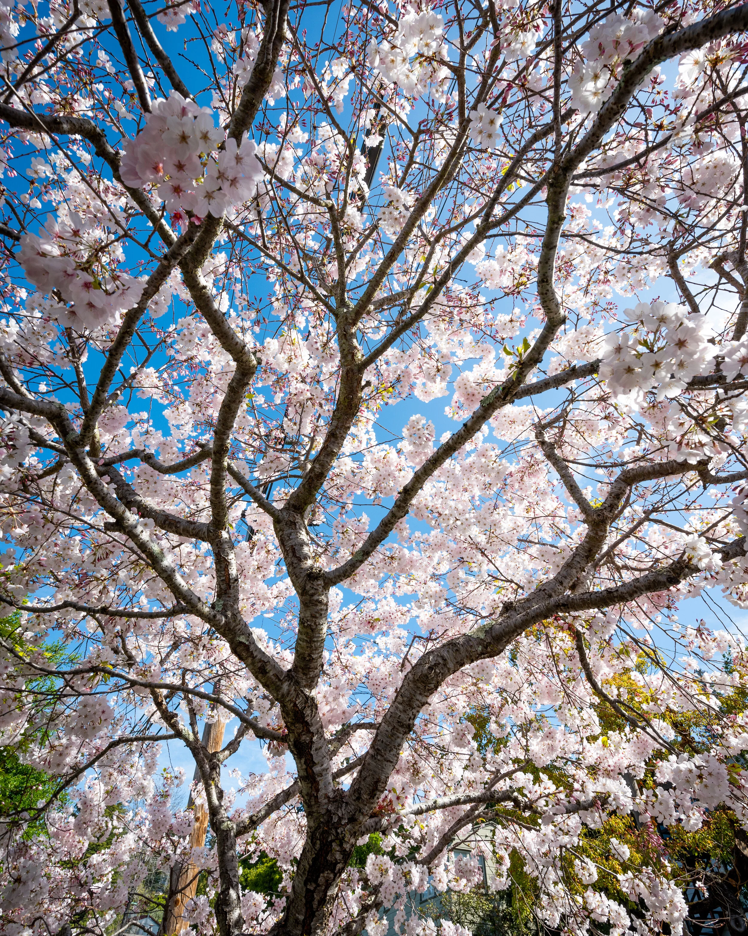 Nature photograph 7