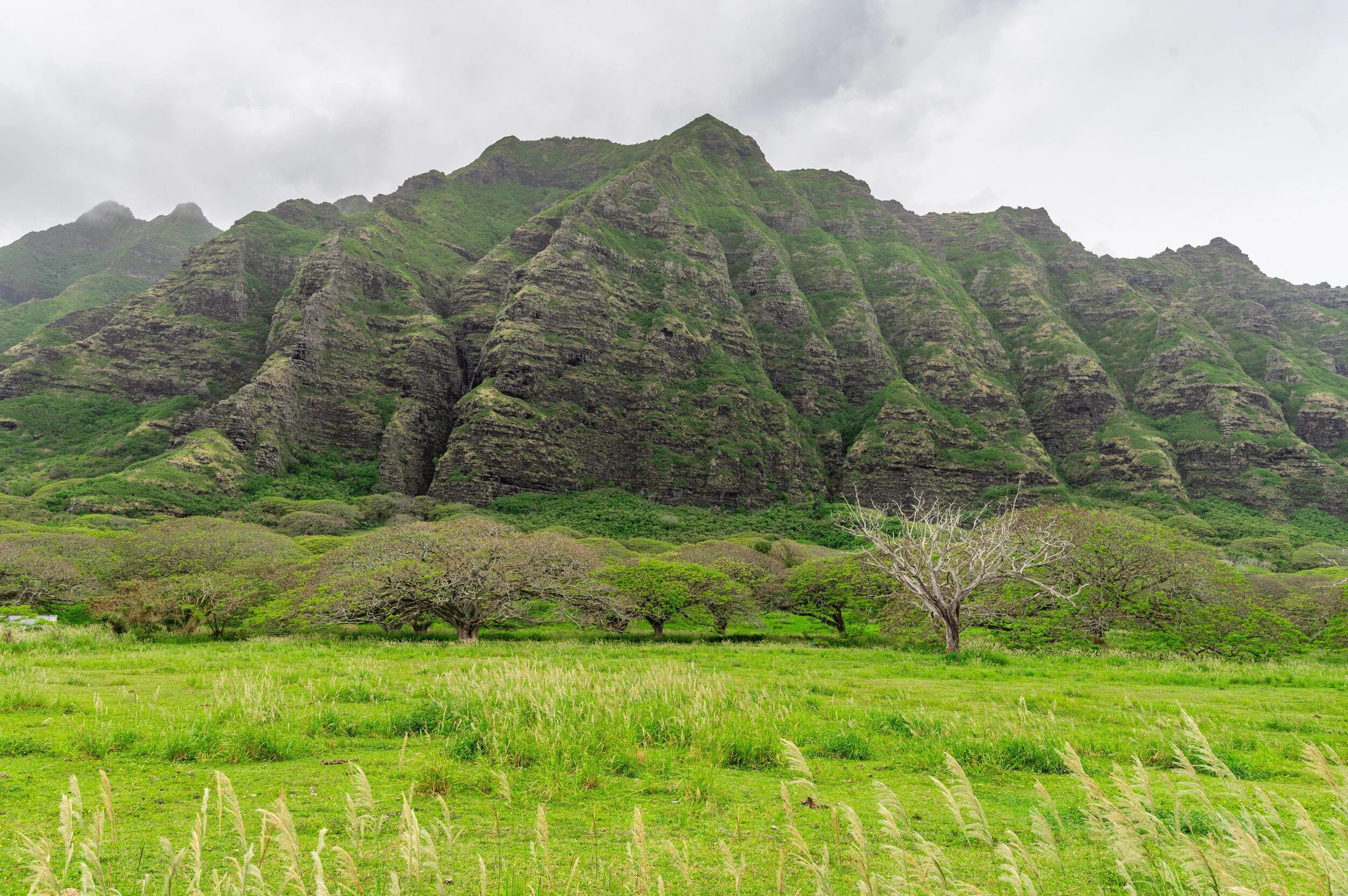 Hawaii photograph 6