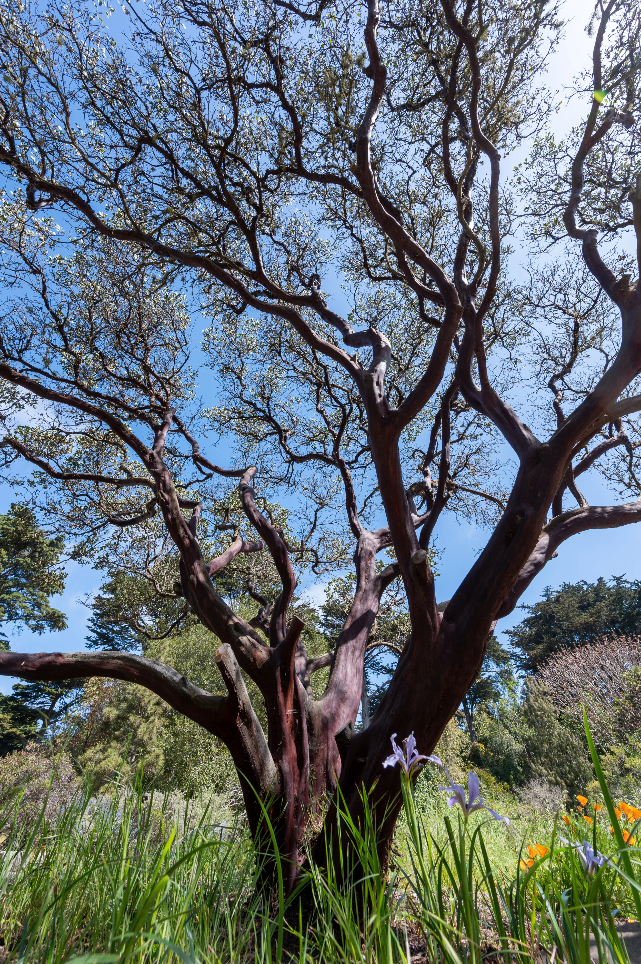 Nature photograph 17