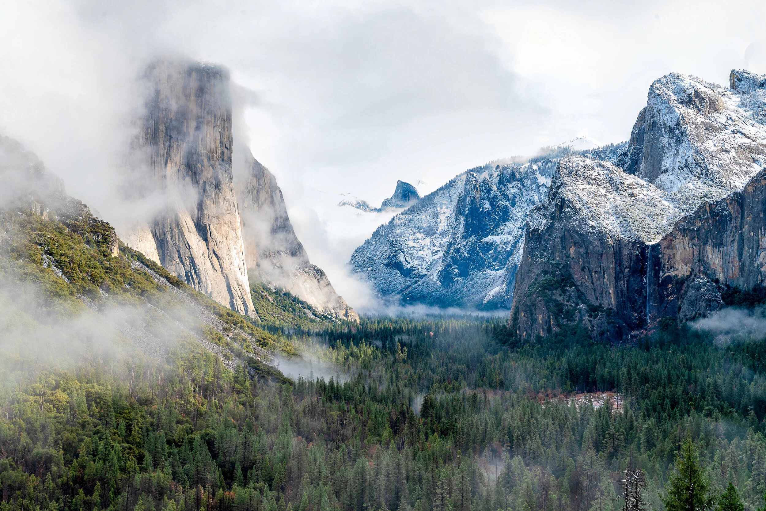 Yosemite photograph 2