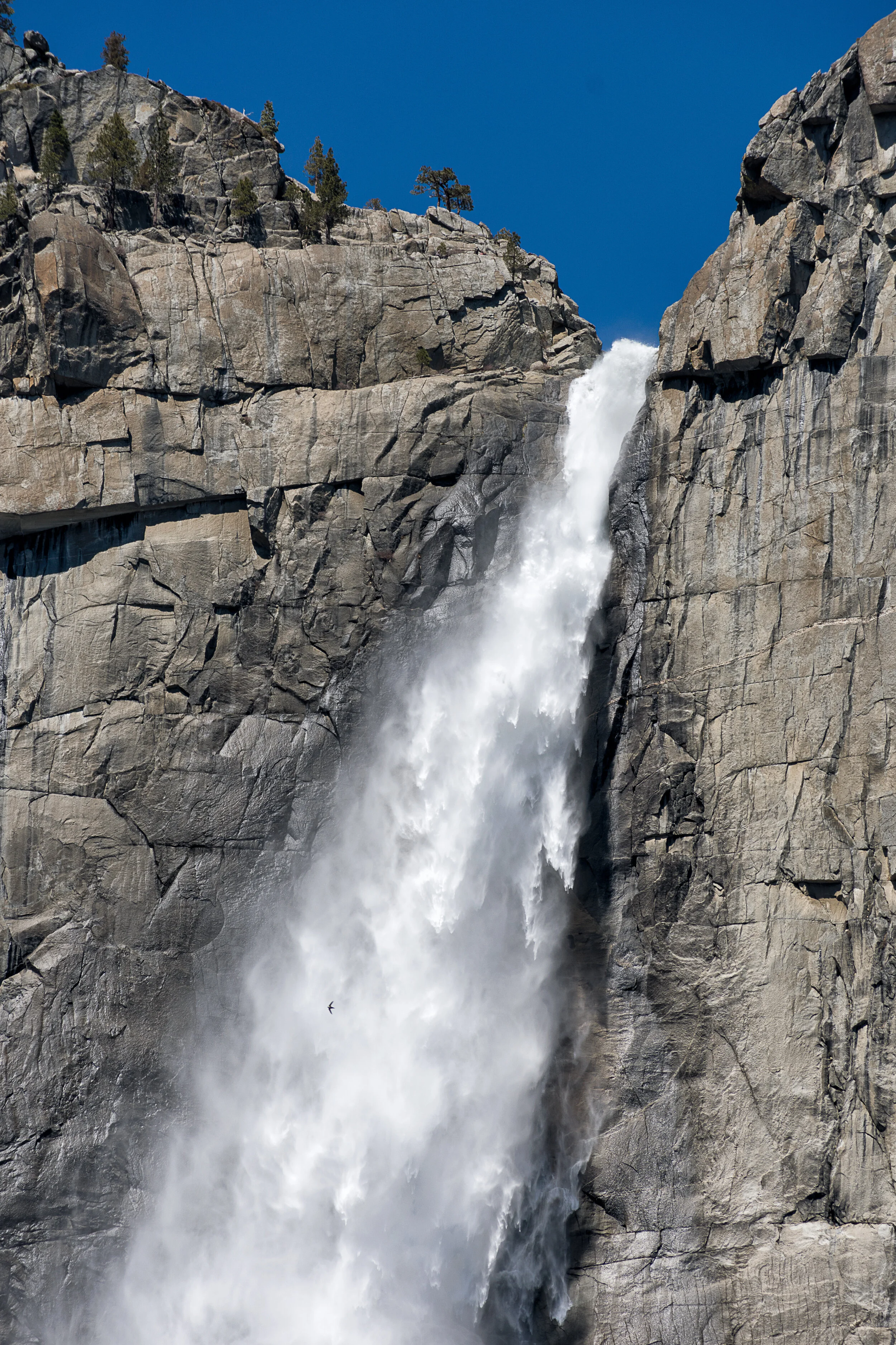 Yosemite photograph 6