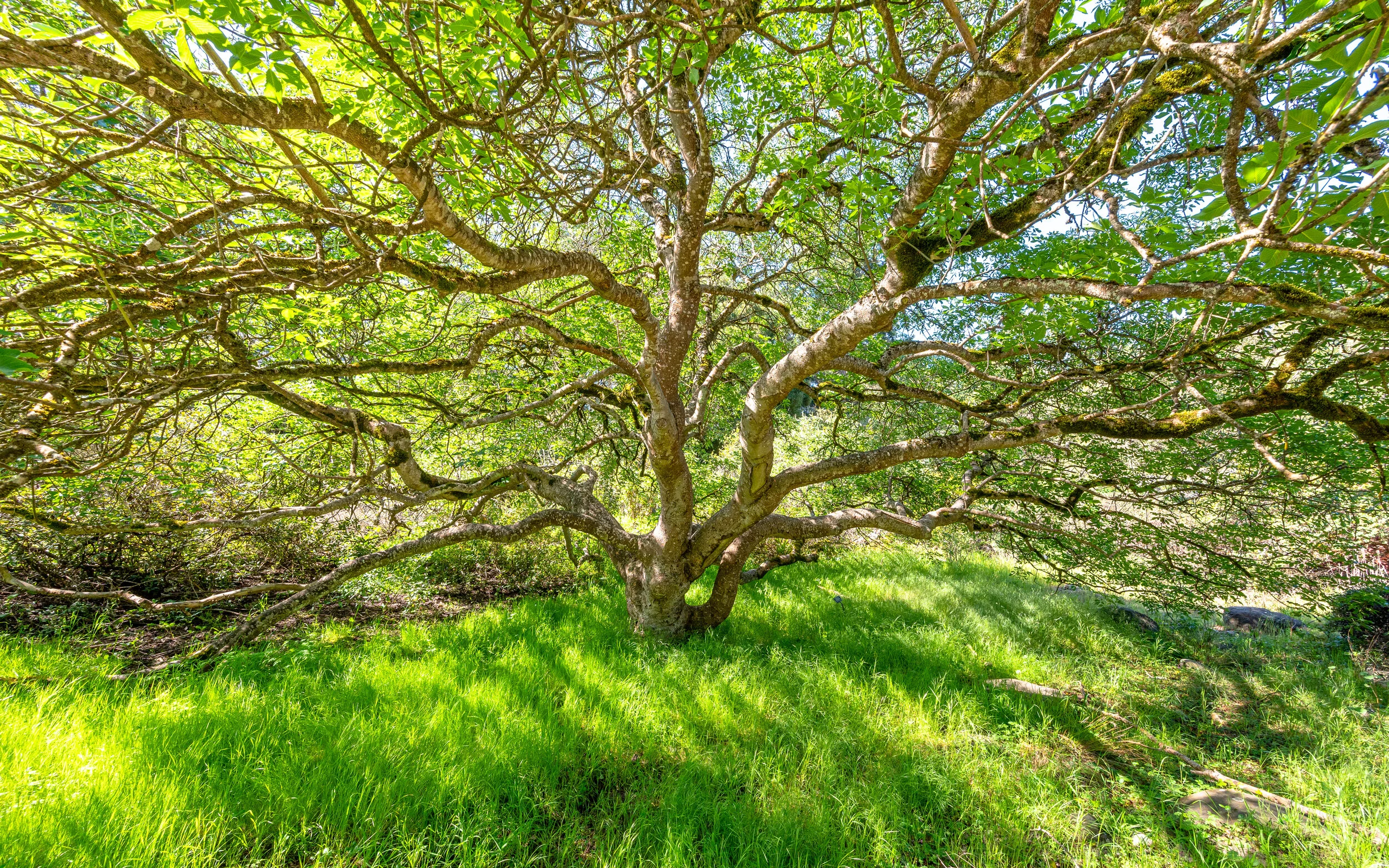 Nature photograph 2