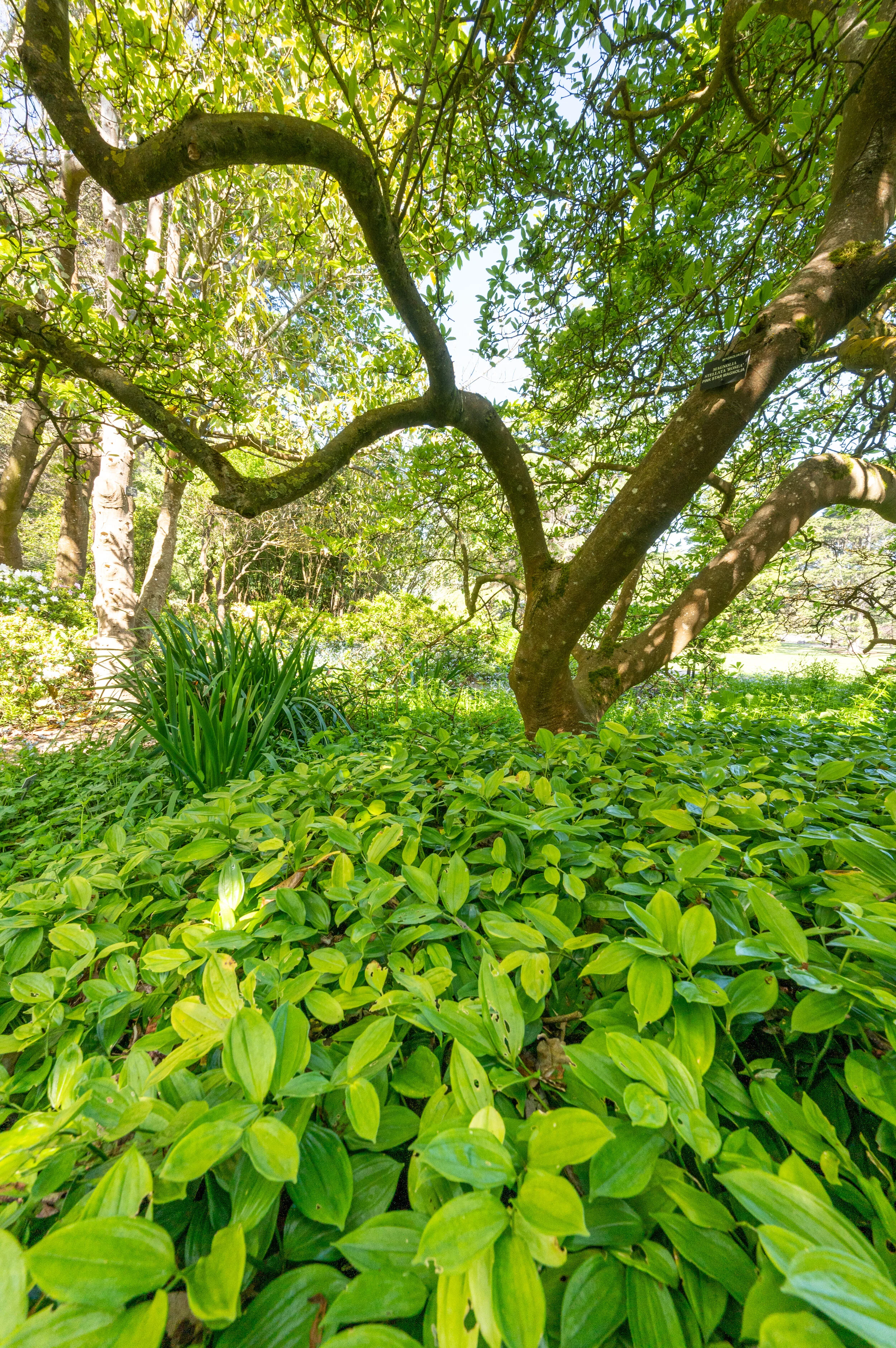 Nature photograph 9