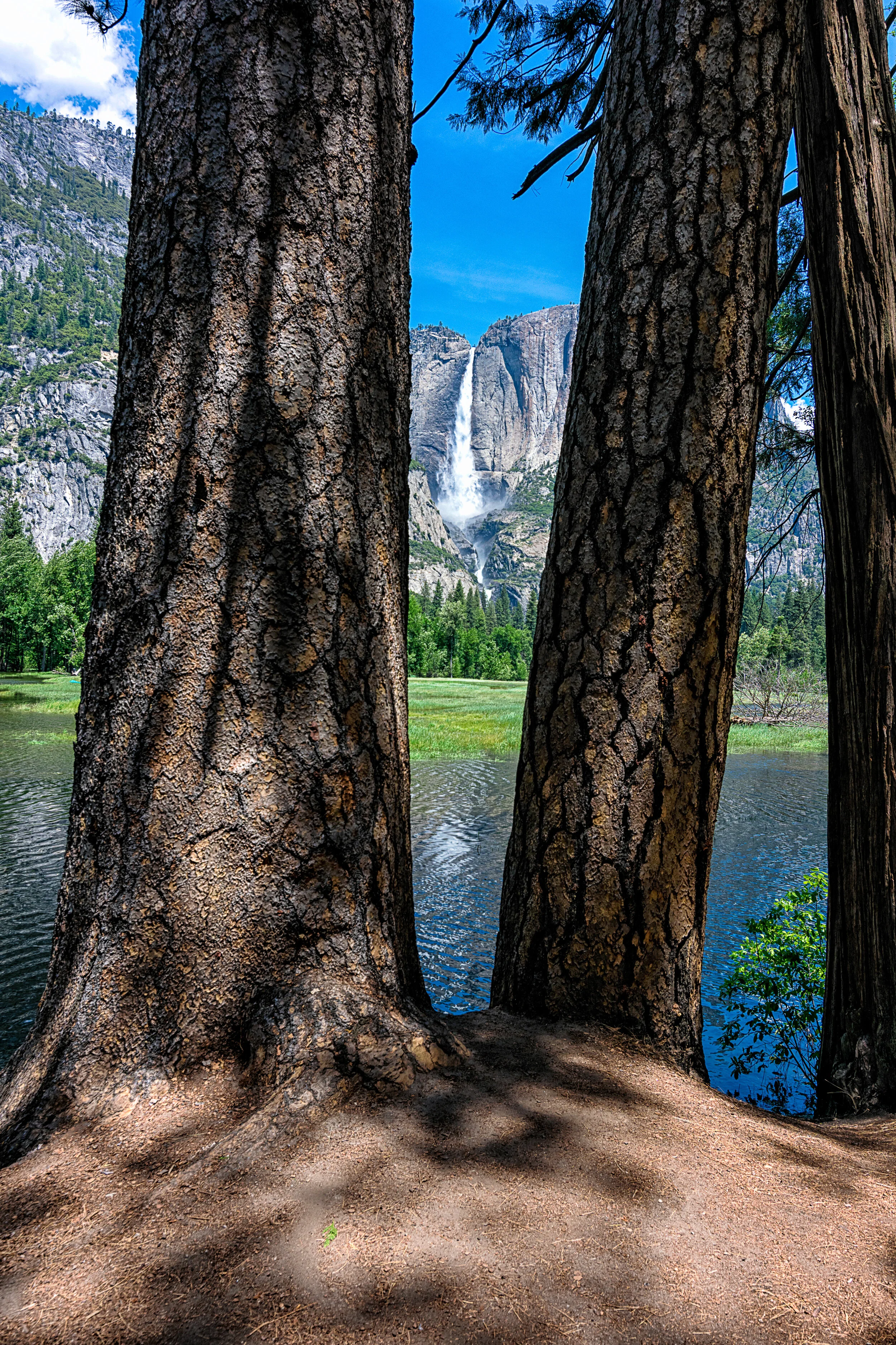 Yosemite photograph 7