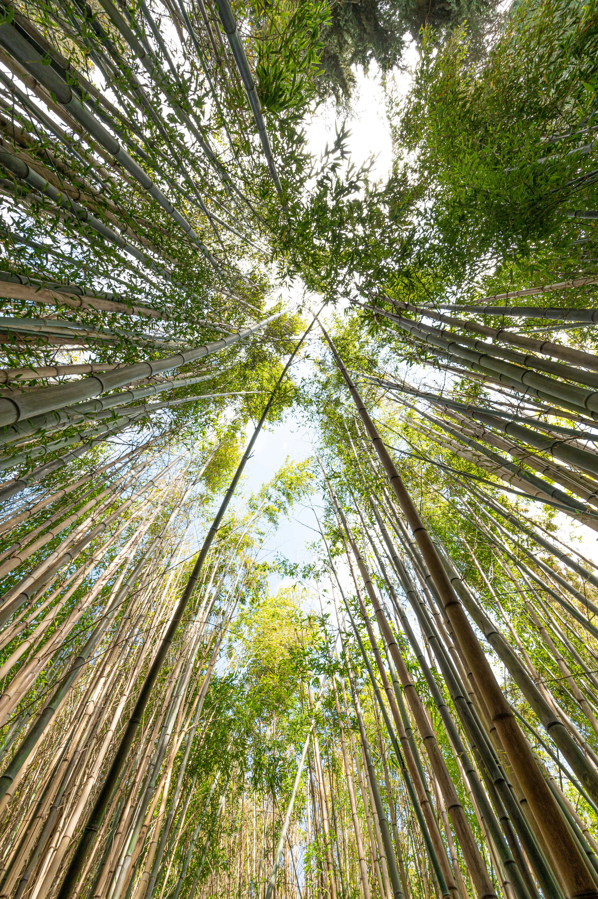 Nature photograph 14