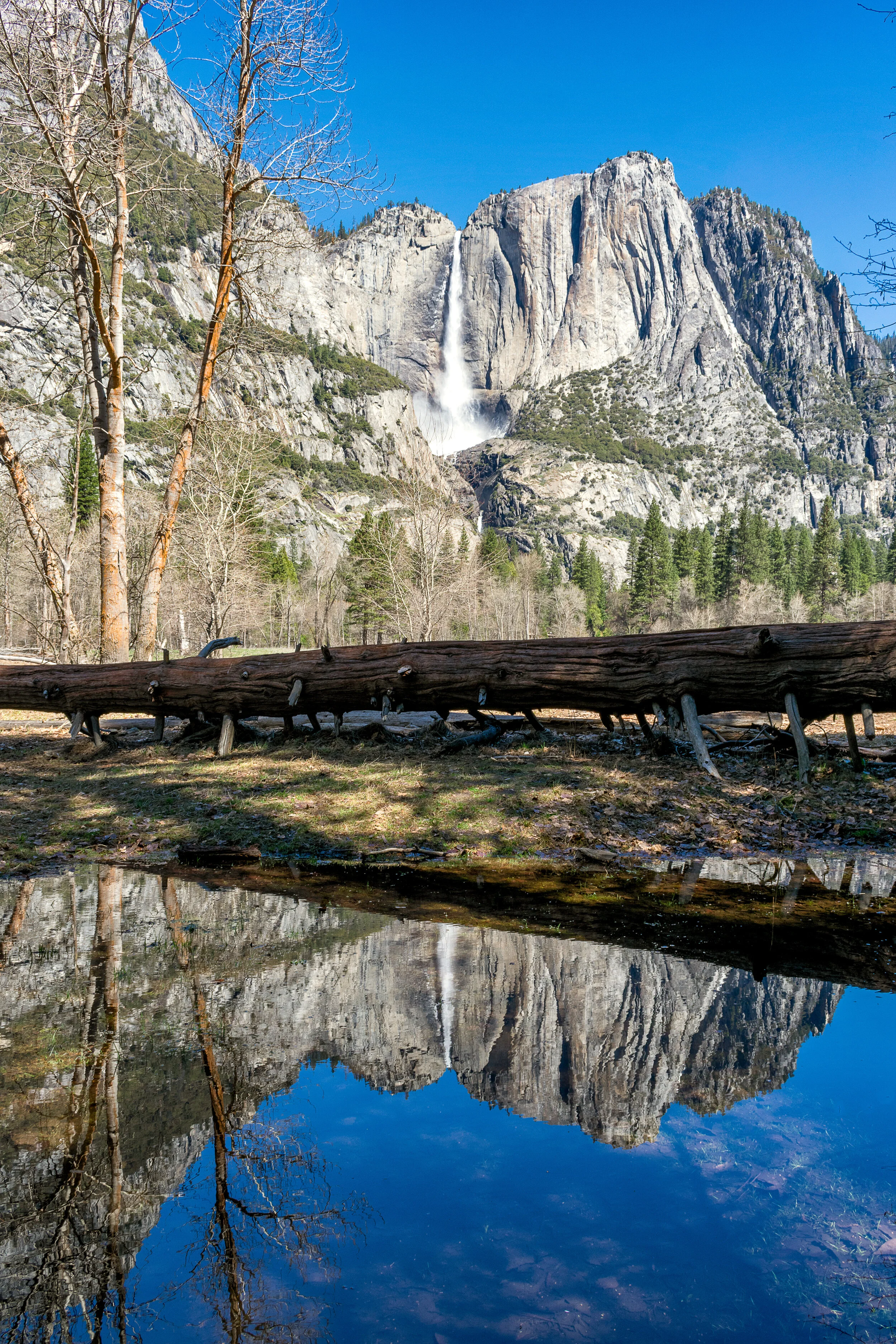 Yosemite photograph 9
