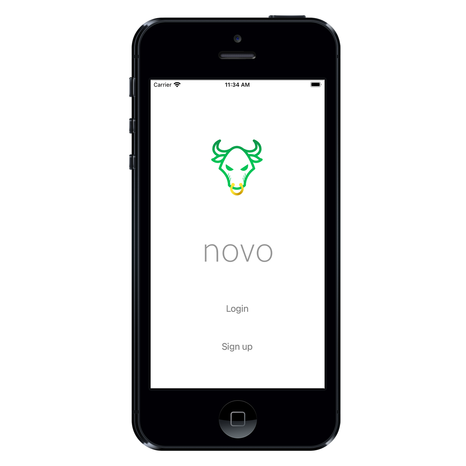 Novo Finance project image 1